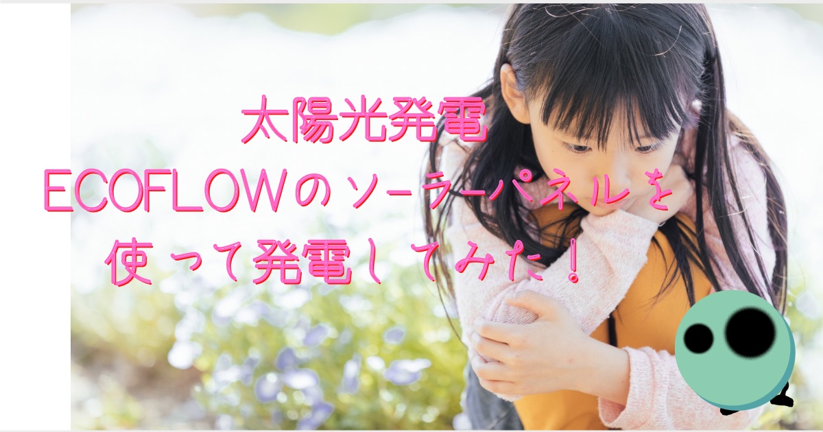 ECOFLOW ソーラーパネル 100W発電